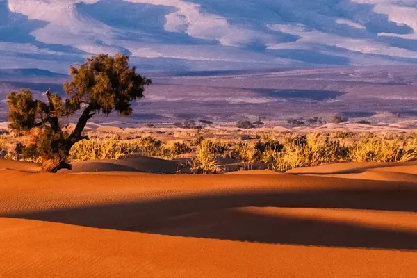 Scenic image of Morocco