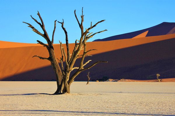 Scenic image of Namibia
