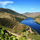 Portugal vineyard river