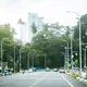 City street with cars and green trees