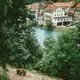 bear walking next to river town