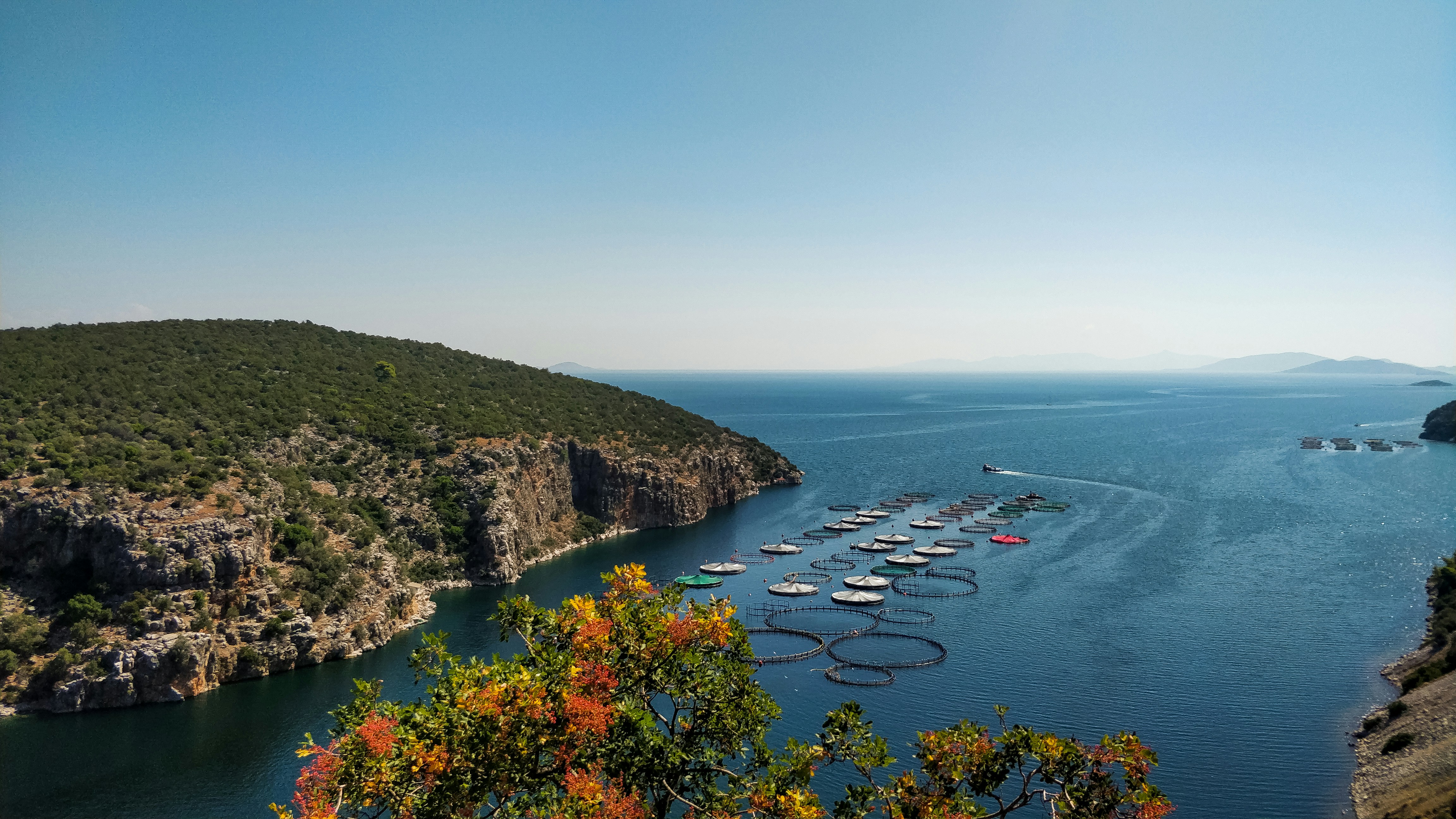 A breathtaking coastline of Greece with deep blue waters and green hills under a clear sky.