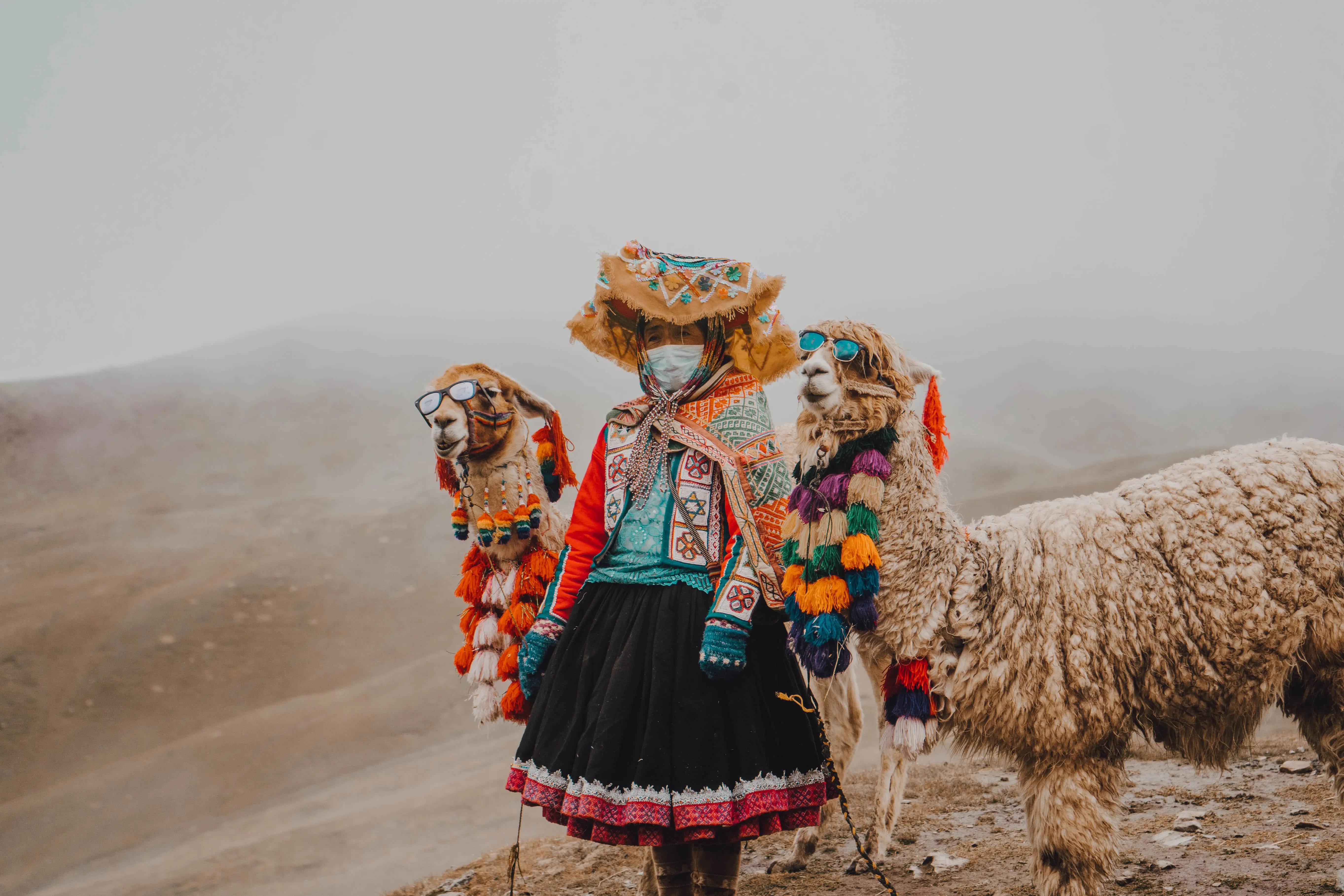 pervian lady with camels in sunglasses