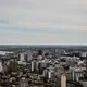 beautiful city skyline in canada