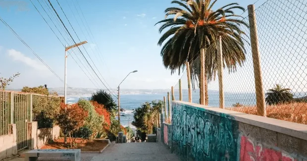 graffiti street with palm tree and beach