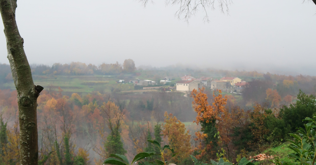 nice village with fog