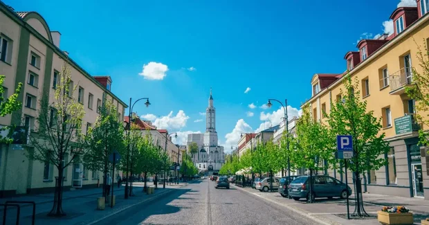Green trees along city street