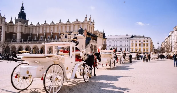 Horse carriages in city center